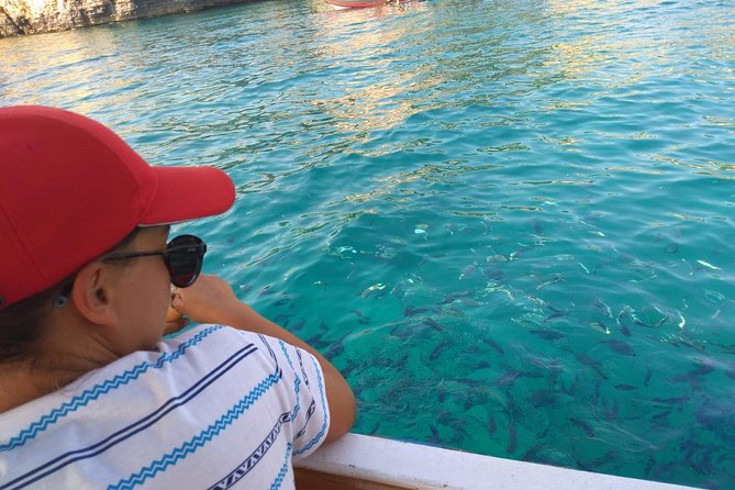 Morning panorama & swimming with a fishes - Vinkuran vala: a coastline stop that adds variety