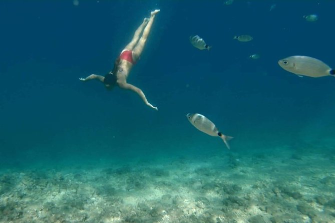 Morning panorama & swimming with a fishes - Swimming with fishes: the hands-on part you’ll either love or be glad you tried