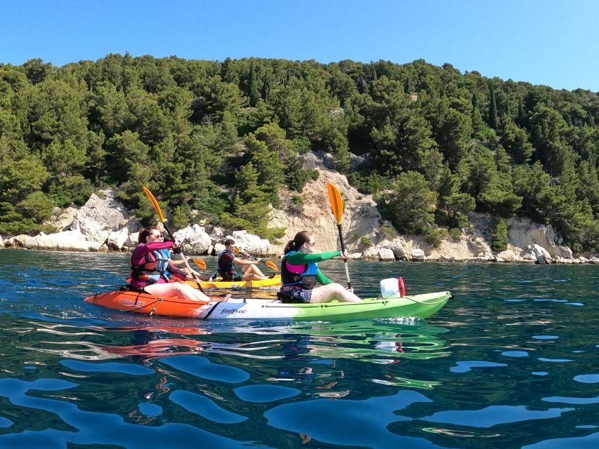 Morning Split Sea Kayaking Tour - Included Gear and Photos: Value Beyond the Kayak