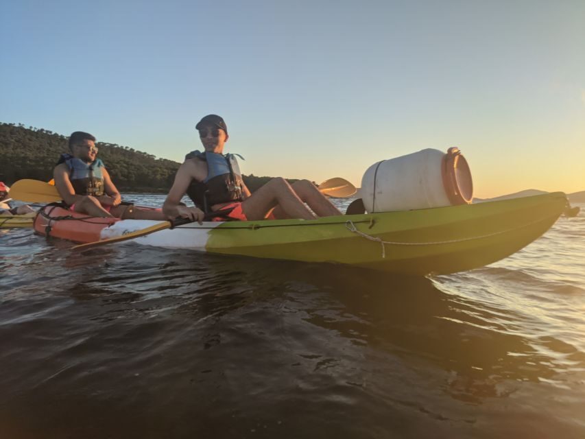 Morning Split Sea Kayaking Tour - Who This Tour Suits Best (and Who Should Skip It)