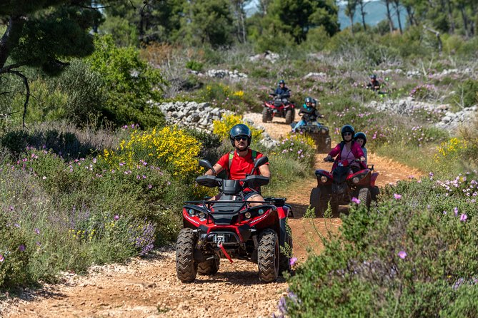 Off road Quad Adventure Tour on Island Čiovo - The riding part: automatic quads, real off-road, and controlled pacing