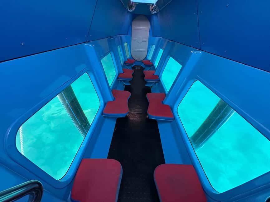 Omiš: Semi-Submarine Underwater Adventure - Wildlife Expectations: Fish, Octopus, and Jellyfish (and What to Do If You Don’t Spot Them)