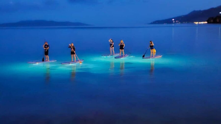 Opatija: Guided SUP Paddleboarding Adventure at Night - Price and Value: Is $75 Worth It?