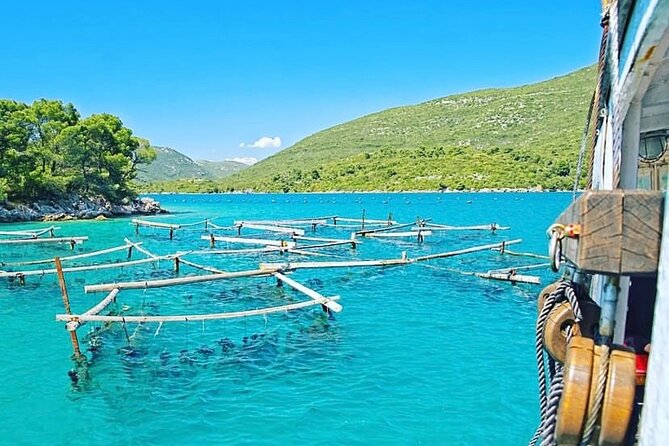 Oyster farm experience / Private day trip from Dubrovnik - Key highlights worth planning around