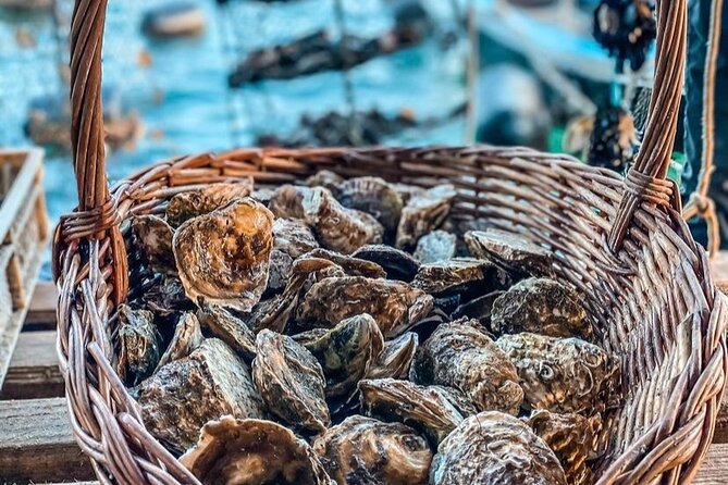 Oyster farm experience / Private day trip from Dubrovnik - Price and value: why $258.30 can make sense for a private day