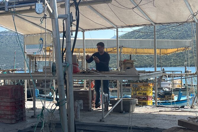 Oyster Farm, Ston and Winery Tour - Best for whom (and who might want a different option)