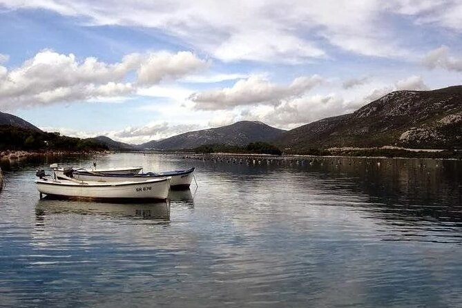 Oysters and mussels tasting with wine in Ston and Pelješac - Key things to know before you go
