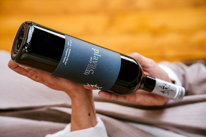Oysters and mussels tasting with wine in Ston and Pelješac - Škurla home winery: Pelješac wine and a simple plate done right