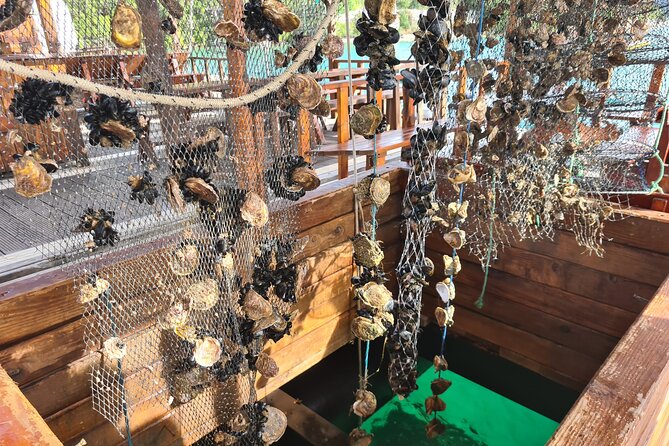 Oysters & Wine Tour From Dubrovnik (Small Group) - Key things that make this tour worth your attention