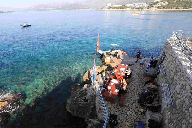 PADI Discover Scuba Diving in Dubrovnik - Marine life expectations in the Adriatic Sea (what you might actually see)