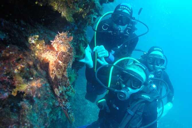 PADI Discover Scuba Diving in Dubrovnik - Safety, comfort, and what to do if you feel unwell