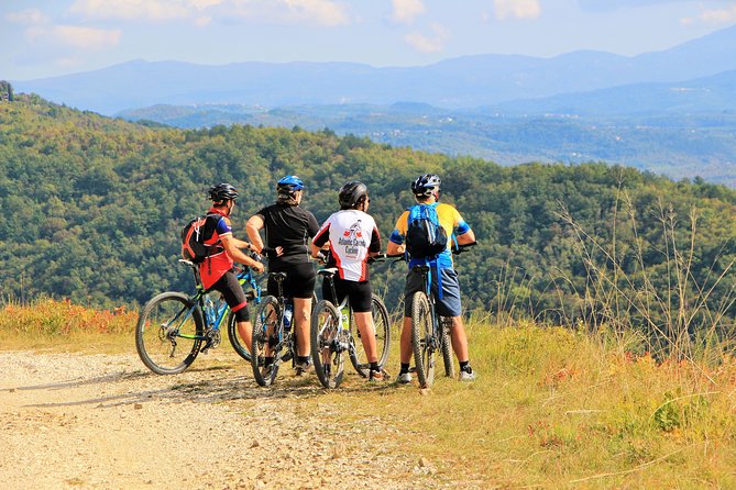 Parenzana Trail Full Day Cycling Tour from Pula, Rovinj, Poreč or Buje - Livade’s Mirna Valley Views and the Tunnels-and-Bridges Feel