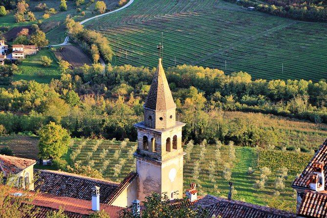 Parenzana Trail Full Day Cycling Tour from Pula, Rovinj, Poreč or Buje - Price and What Makes This Feel Like Value
