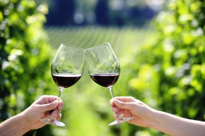 Peljesac Peninsula Day Trip from Dubrovnik: Wine Tasting and Ston Village Tour - Quick Takeaways