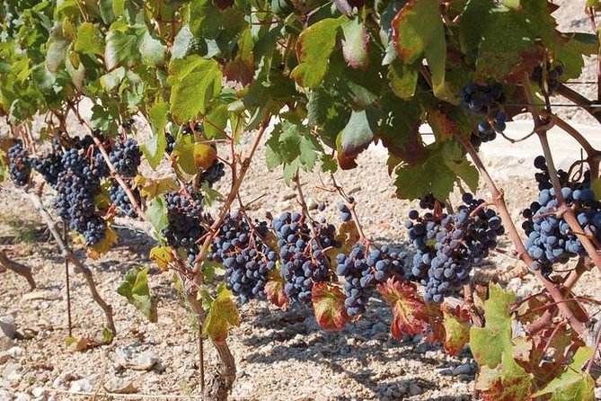 Peljesac Peninsula Day Trip from Dubrovnik: Wine Tasting and Ston Village Tour - Hotel Pickup and the Scenic Ride Over Franjo Tudman Bridge