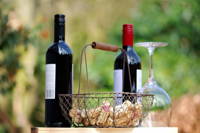 Peljesac Peninsula Wine Tasting Luxury Tour from Dubrovnik - Luxury without the overhead: Mercedes pickup, driver, and private control