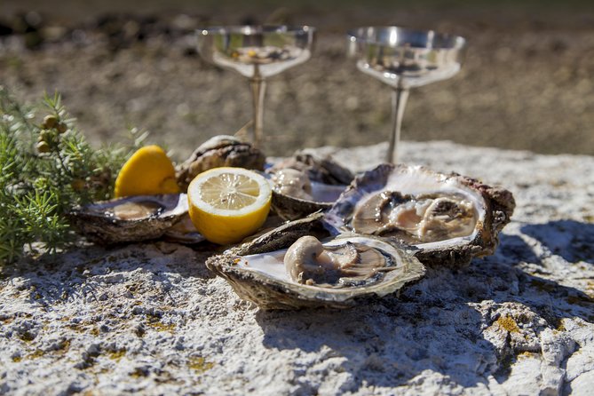 Peljesac Peninsula Wine Tasting Luxury Tour from Dubrovnik - Quick booking checklist before you go
