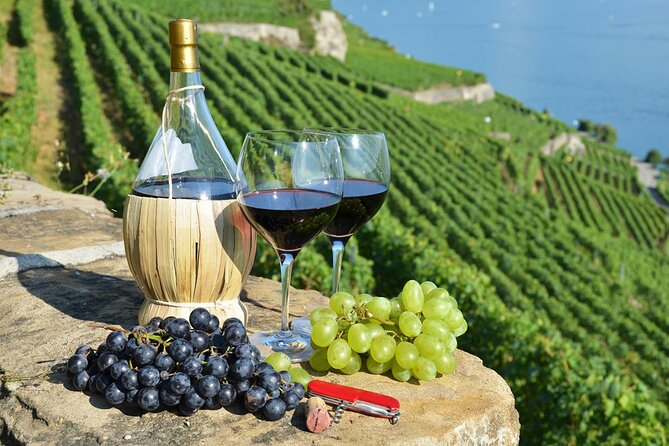 Peljesac Vineyards & Oysters - Private Day Trip from Dubrovnik-Mercedes Vehicle - Key Points Worth Knowing Before You Go
