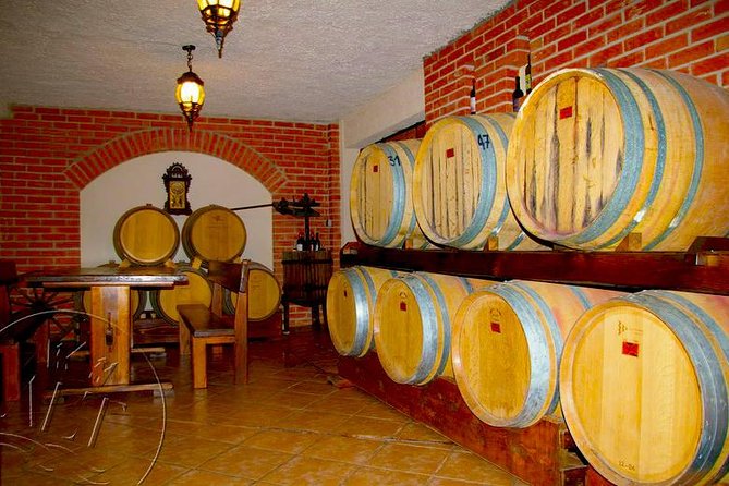 Peljesac Vineyards & Oysters - Private Day Trip from Dubrovnik-Mercedes Vehicle - A Private Pelješac Day Trip From Dubrovnik: What You’re Really Buying