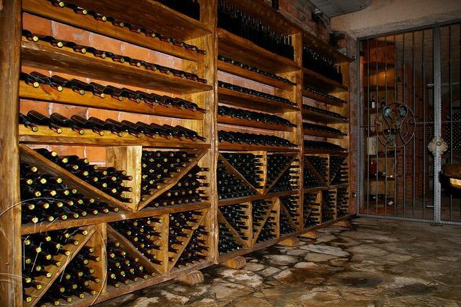 Peljesac Vineyards & Oysters - Private Day Trip from Dubrovnik-Mercedes Vehicle - Who This Tour Fits Best (and Who Should Probably Skip It)