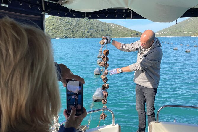 Pelješac - Wine, Oysters and Food Experience from Dubrovnik - Key highlights at a glance