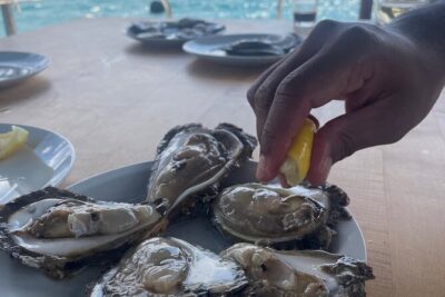Pelješac - Wine, Oysters and Food Experience from Dubrovnik - Ston salt factory and 30 minutes to breathe: a useful break, not a detour