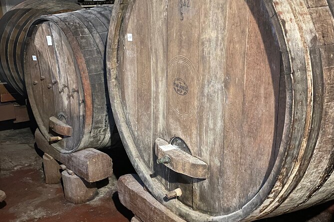 Pelješac - Wine, Oysters and Food Experience from Dubrovnik - Who should book this Pelješac day (and who might not love it)