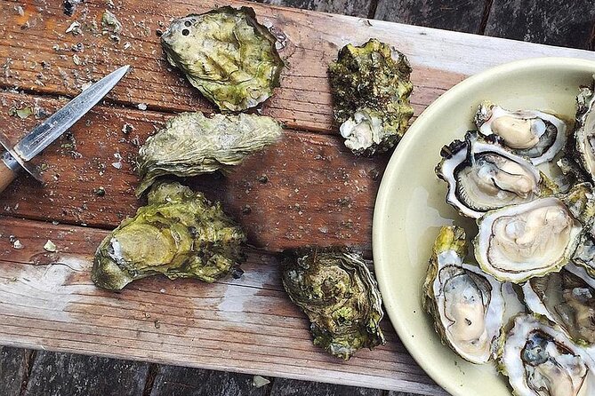 Peljesac Wine & Ston Oysters PRIVATE HALF DAY SHORE TOUR - Mali Ston Bay: Meeting Fisherman Mario for Oysters From the Sea