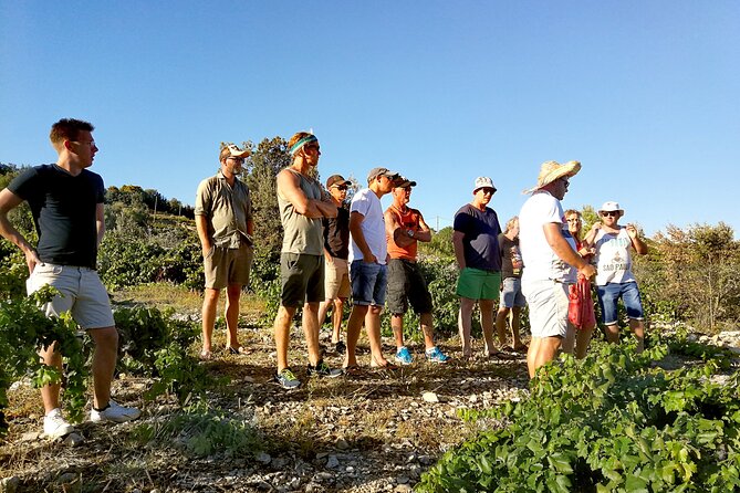 Peljesac&Ston Small-Group Food & Wine Experience from Dubrovnik - Peljesac Peninsula Road Trip: Villages, Views, and Context