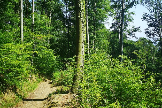 Perceive Zagreb Like a Local - Medvednica Nature Park Hiking - Key highlights at a glance