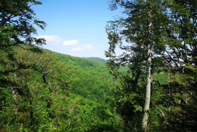 Perceive Zagreb Like a Local - Medvednica Nature Park Hiking - Stop one: Mapping Croatia and setting your bearings