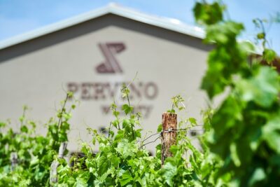 PERVINO - Wine tasting - Olive Oil and Snacks: What’s Actually on Your Plate
