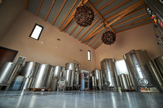 PERVINO - Wine tasting - Timing, Duration, and What You Get in 90 Minutes