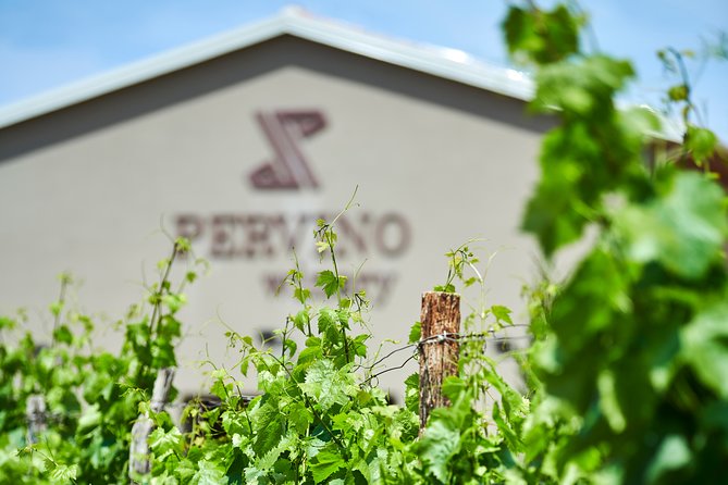 PERVINO - Wine tasting - Olive Oil and Snacks: What’s Actually on Your Plate