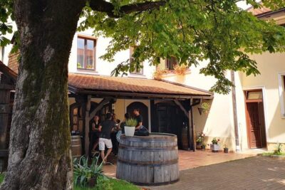 Plesivica countryside Wine Tasting - Why Plesivica Gets the Champagne Label