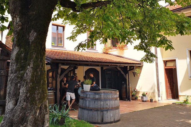 Plesivica countryside Wine Tasting - Why Plesivica Gets the Champagne Label