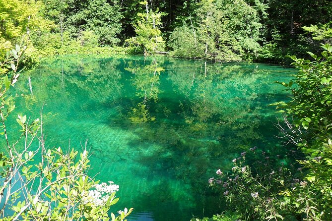 Plitvice Lakes and Rastoke Private Day Tour from Zagreb - The human factor: when the driver matters