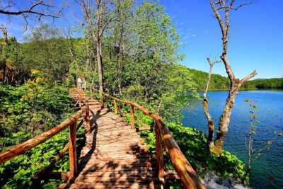 Plitvice Lakes Day Tour from Rijeka, Simple & Safe - The 7:00 AM Departure and How the Day Timings Feel