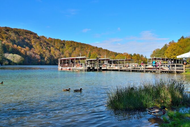 Plitvice Lakes Day Tour from Rijeka, Simple & Safe - What You See in the Park: 16 Terraced Lakes and Waterfalls