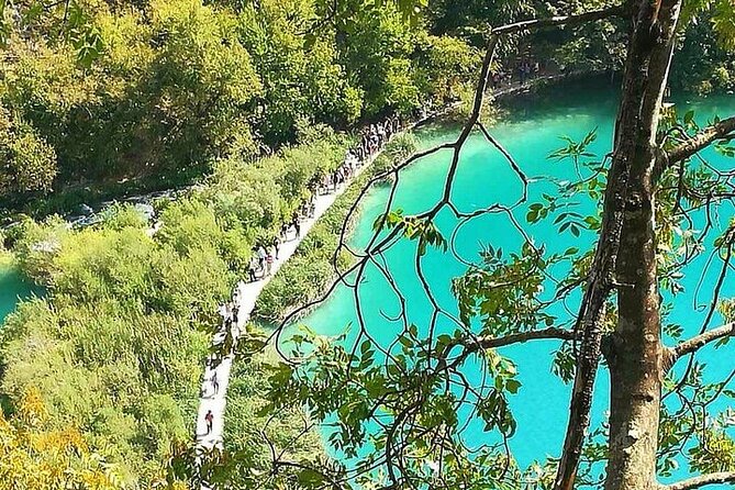 Plitvice Lakes Day Tour from Zadar, Simple and Safe - Inside Plitvice: Entrance 1, routes B and C, and real walking math
