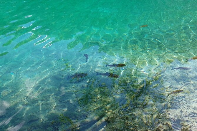 Plitvice Lakes Day Tour from Zadar, Simple and Safe - Morning vs afternoon: how to choose the right schedule