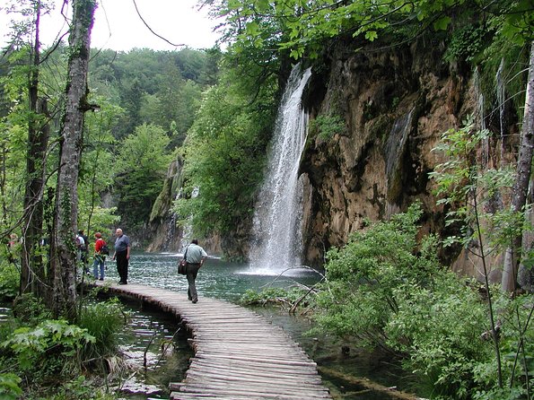 Plitvice Lakes Day Trip from Zadar and Biograd - What the Guide Actually Does: Geology, Flora, and Wildlife Narration