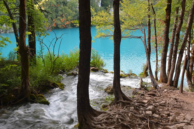 Plitvice Lakes National Park Tour from Zadar - Price and Value: What You Pay vs. What You Get