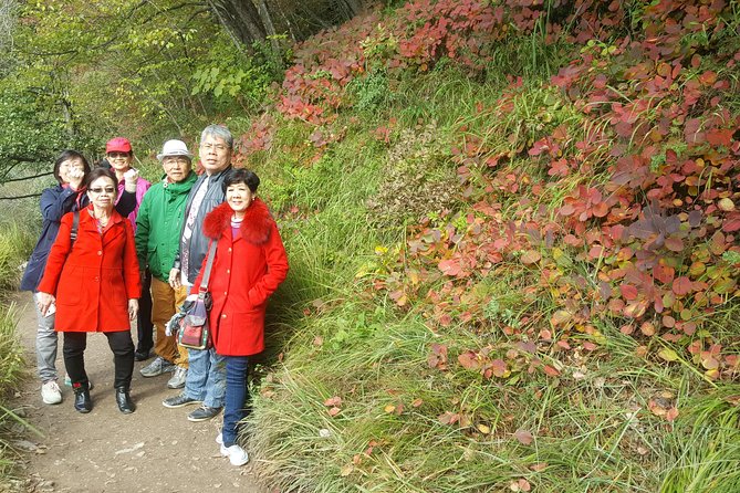 Plitvice Lakes Private Tour from Zagreb - Flexible Schedule - What You Pay For: Private Value vs. Entrance Ticket Reality