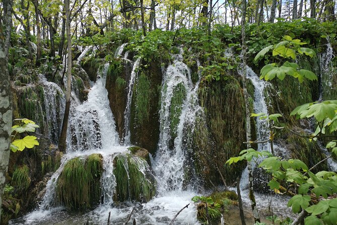 Plitvice Lakes & Rastoke village private tour from Zagreb - 9:00 am pickup in Zagreb: the start that prevents day-trip chaos