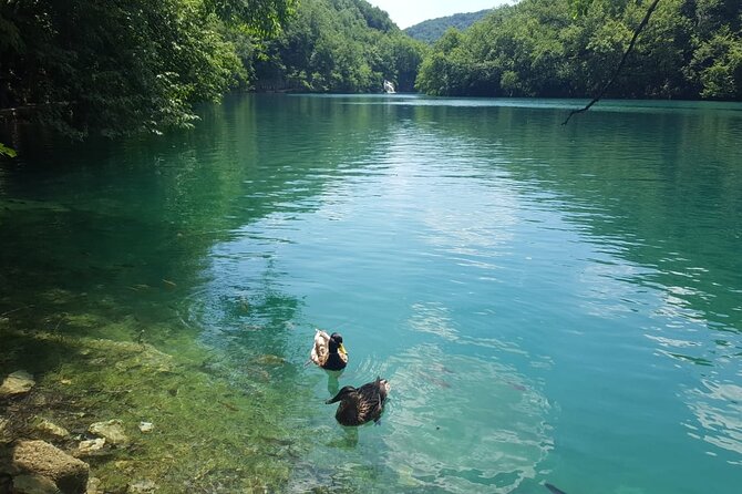 Plitvice Lakes Small Group Tour Ecco from Split or Trogir - Key highlights you should know