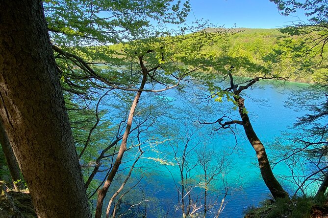 Plitvice private tour driver + guide up to 8 ppl from Zadar - The Guided Walk: Staying Ahead of Crowds Without Feeling Rushed