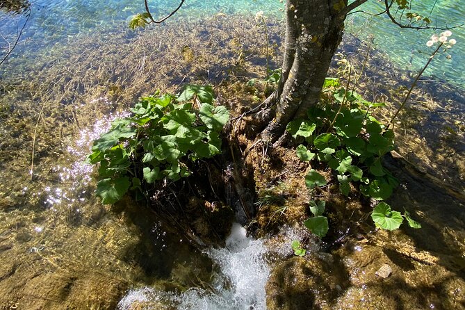 Plitvice private tour driver + guide up to 8 ppl from Zadar - Pickup and Meeting Point: Keeping It Simple in Zadar