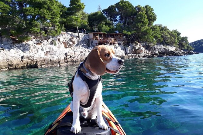 'Pomalo' Guided Sea Kayaking Tour in Cavtat - Pomalo Pace Meets Cavtat’s Coastline