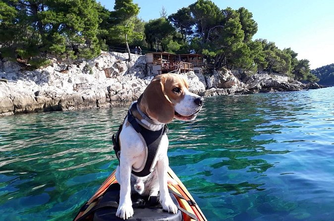 'Pomalo' Guided Sea Kayaking Tour in Cavtat - The First Paddle: Seeing Cavtat’s Old Town from Sea Level
